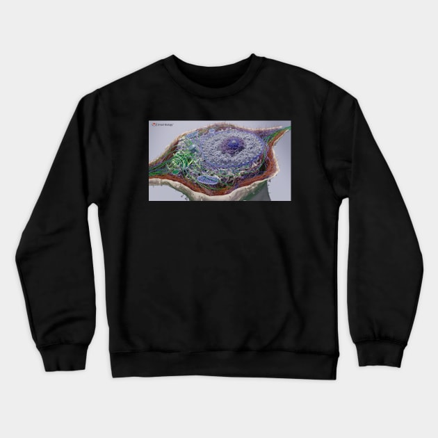 Eukaryotic Cell Crewneck Sweatshirt by Smart Biology